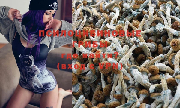 метадон Козловка