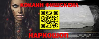 соль ск Партизанск