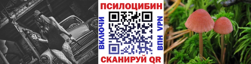 Галлюциногенные грибы мицелий  купить   Ревда 