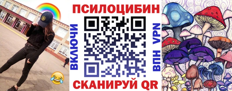 Галлюциногенные грибы Psilocybe Ревда